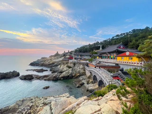 0527-1028_busan-medium.webp