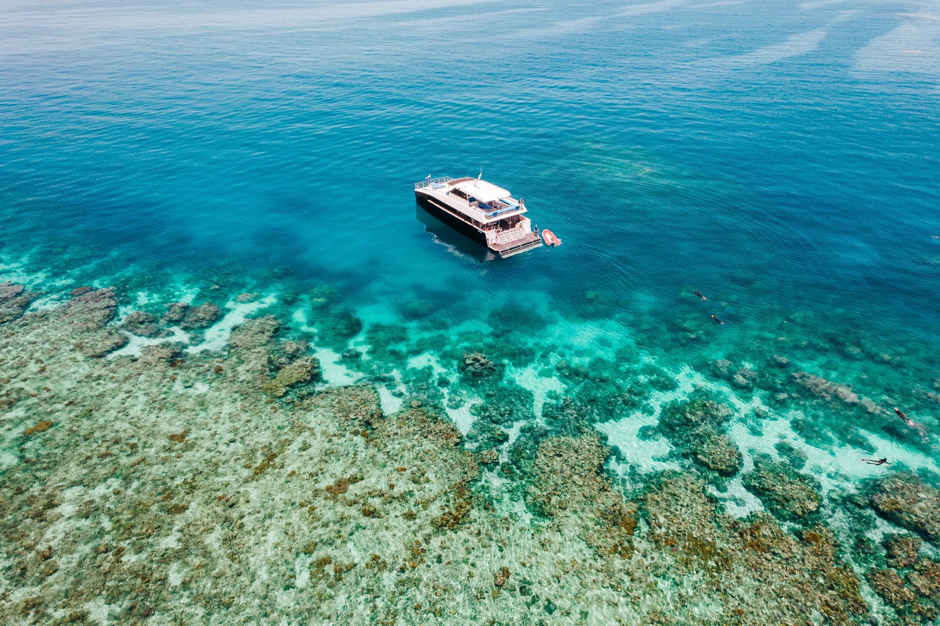 0130-0909_cairns-xlarge.jpg
