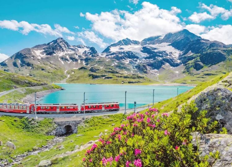 Swiss Half Fare Card