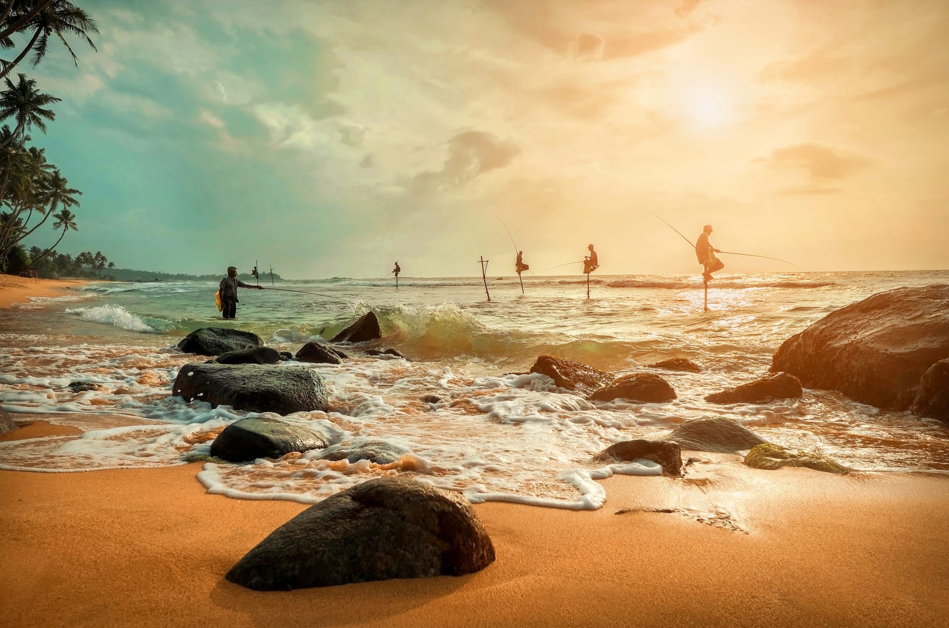 斯里兰卡2026 的活动| 新加坡航空的Pelago