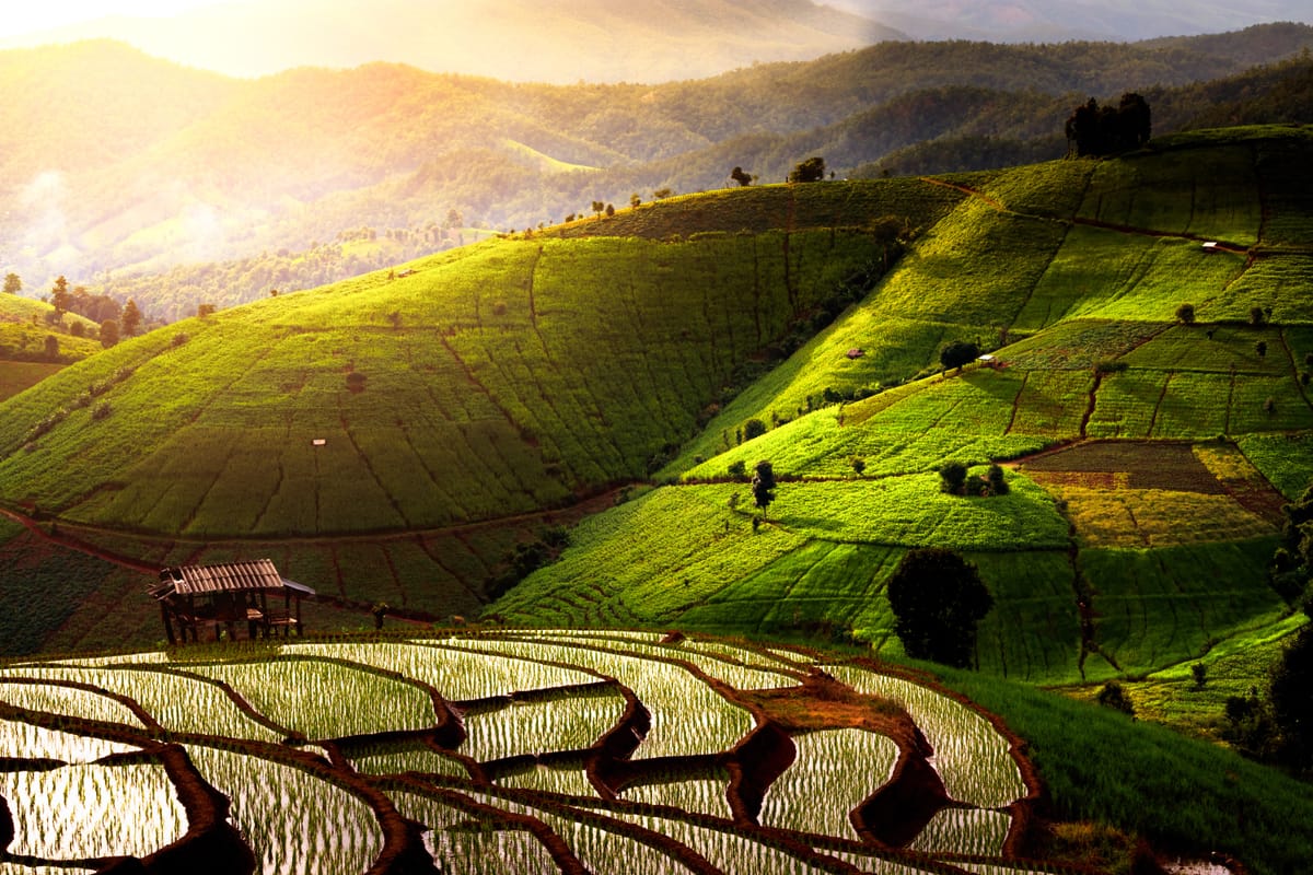 Things to do in Chiang Mai 2026 | Pelago by Singapore Airlines