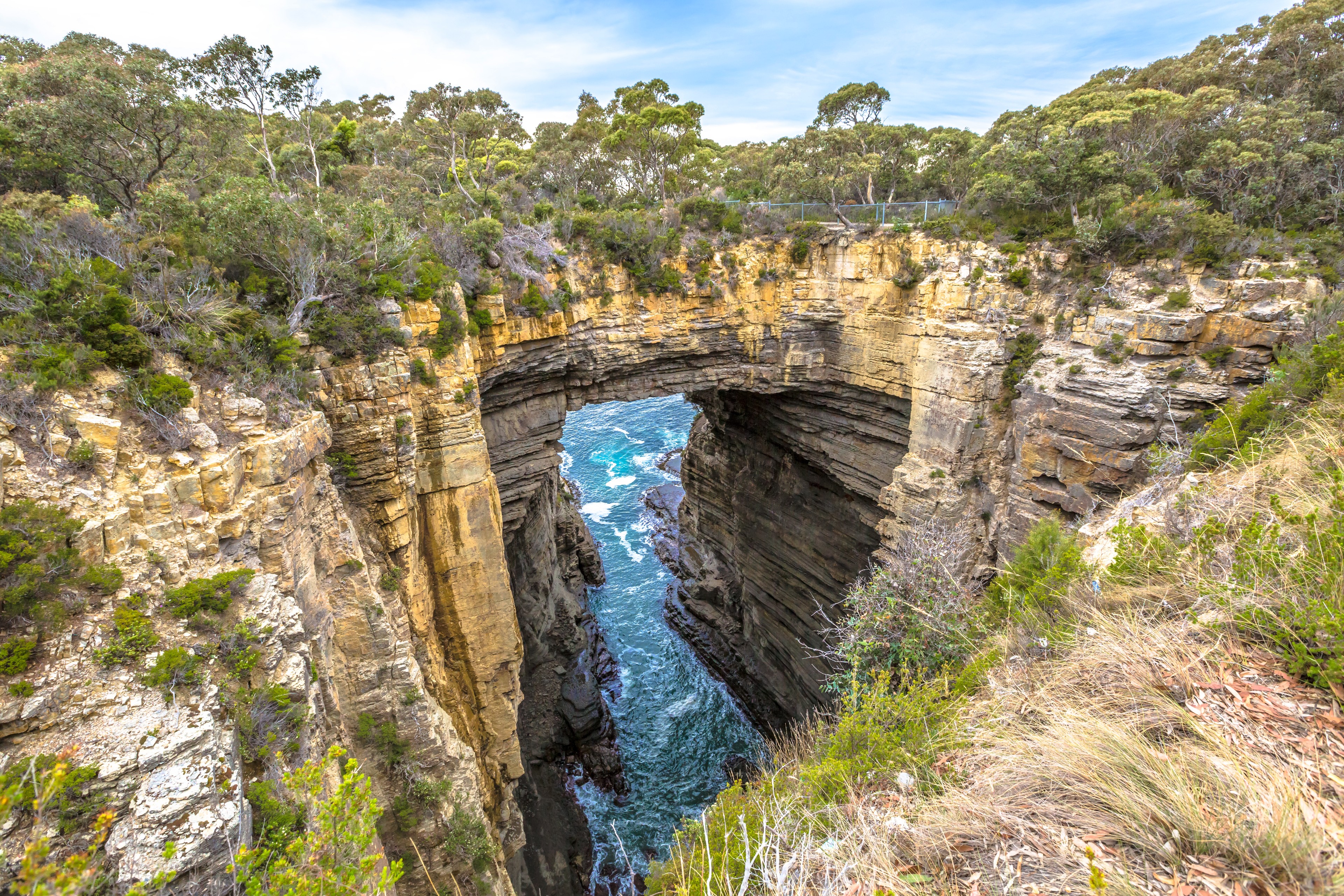 Port Arthur | Pelago