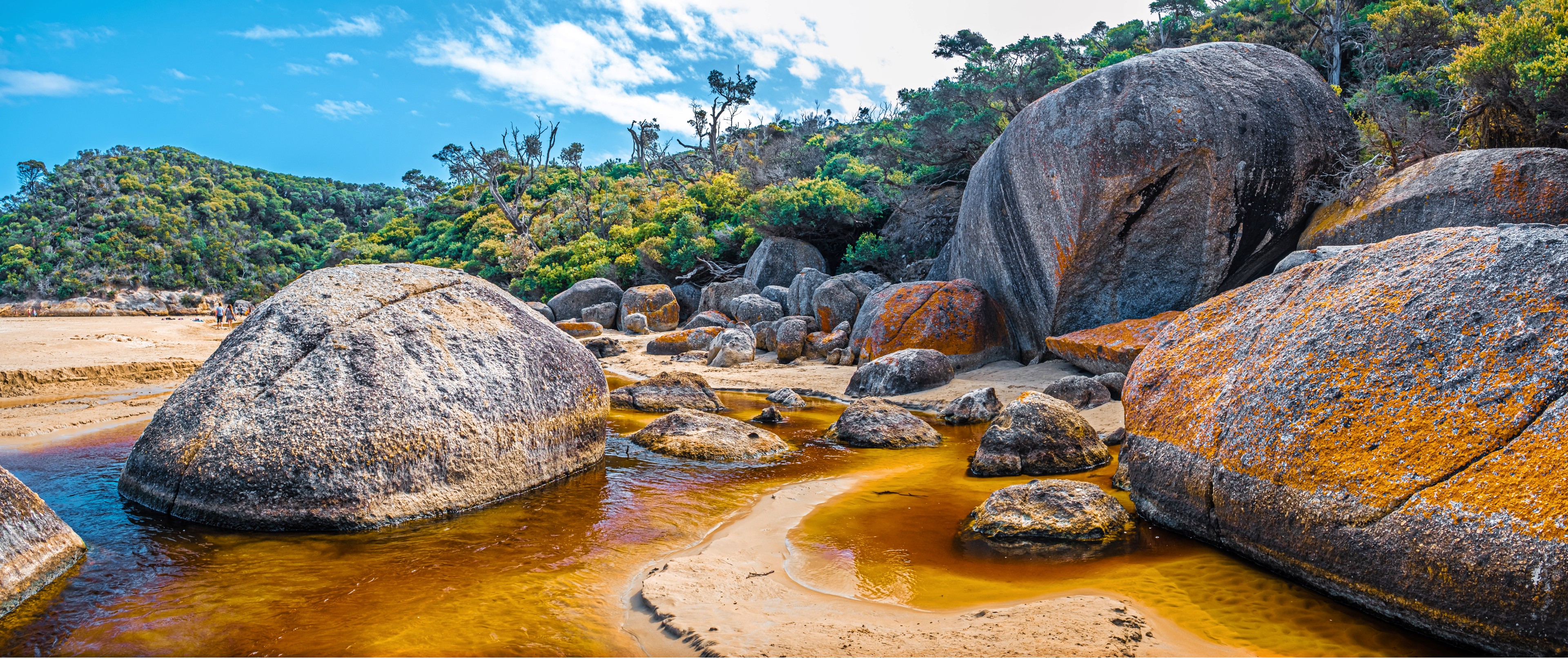 Wilsons Promontory | Pelago