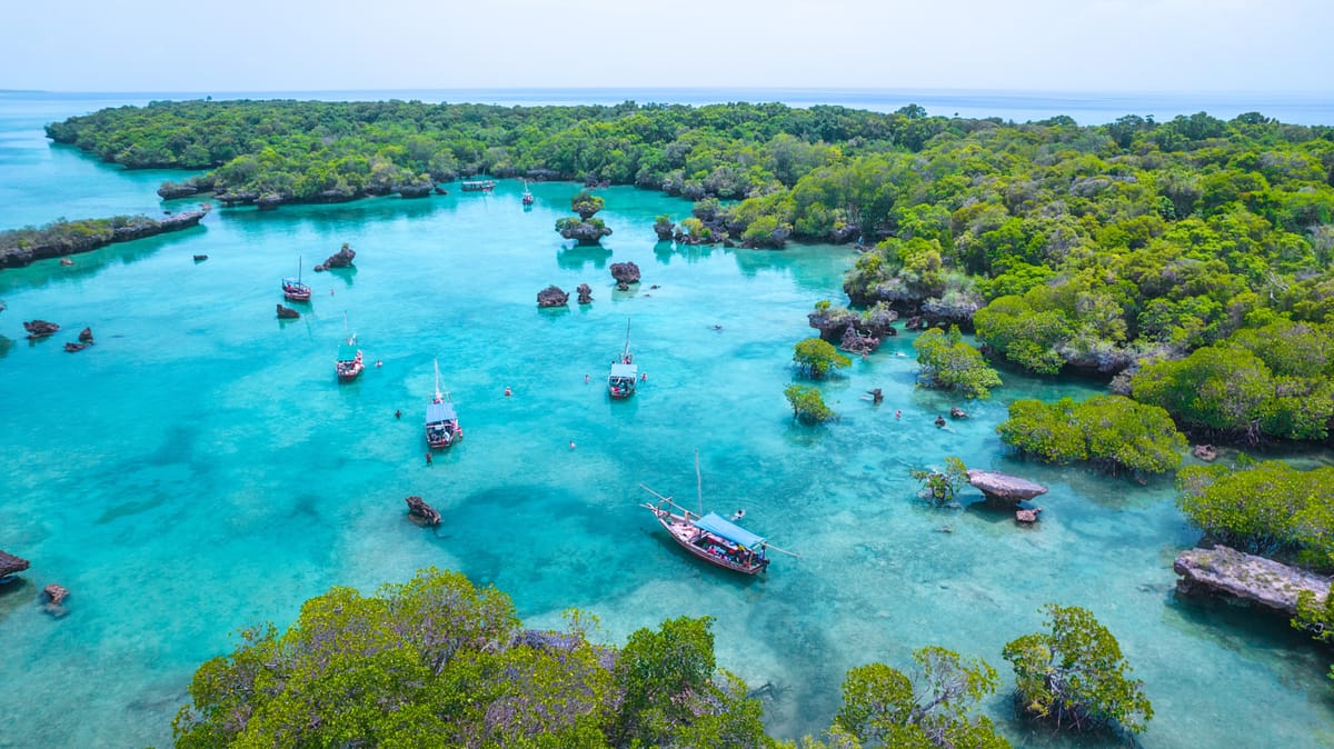 Things to do in Zanzibar 2026 | Pelago by Singapore Airlines