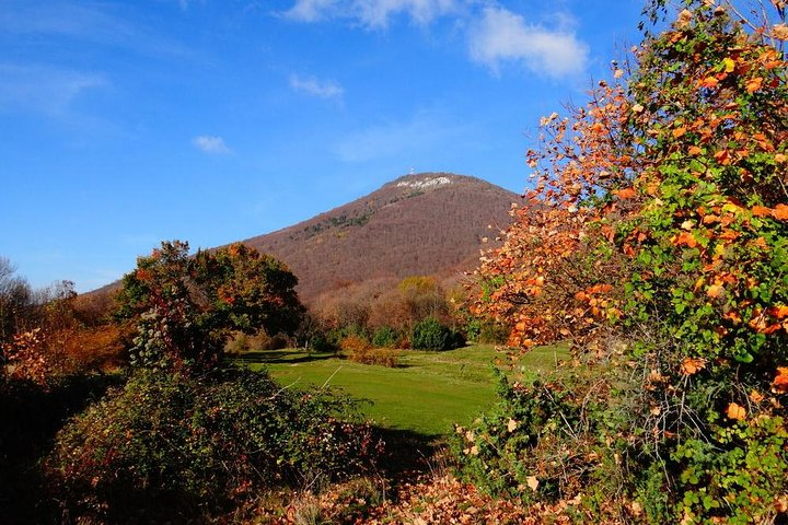 Dajti National Park by Cable Car - Photo 1 of 21
