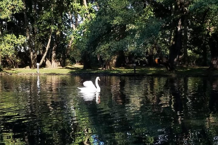 Day Trip of Pogradec and Korca - Photo 1 of 11