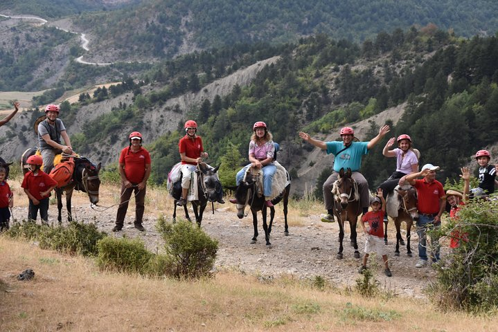 Horse Riding Hamsterley Forest Cycle Map Mountain Mule Riding