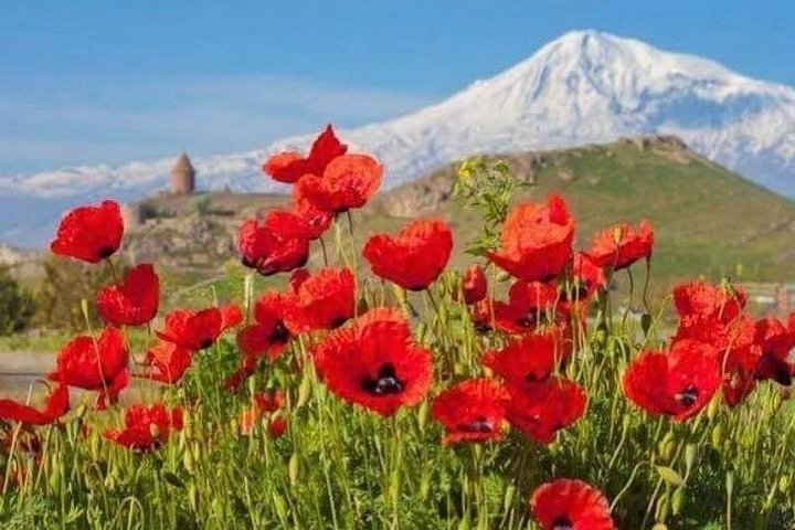 Armenia: An Unforgettable Multi-Day Adventure - Photo 1 of 6