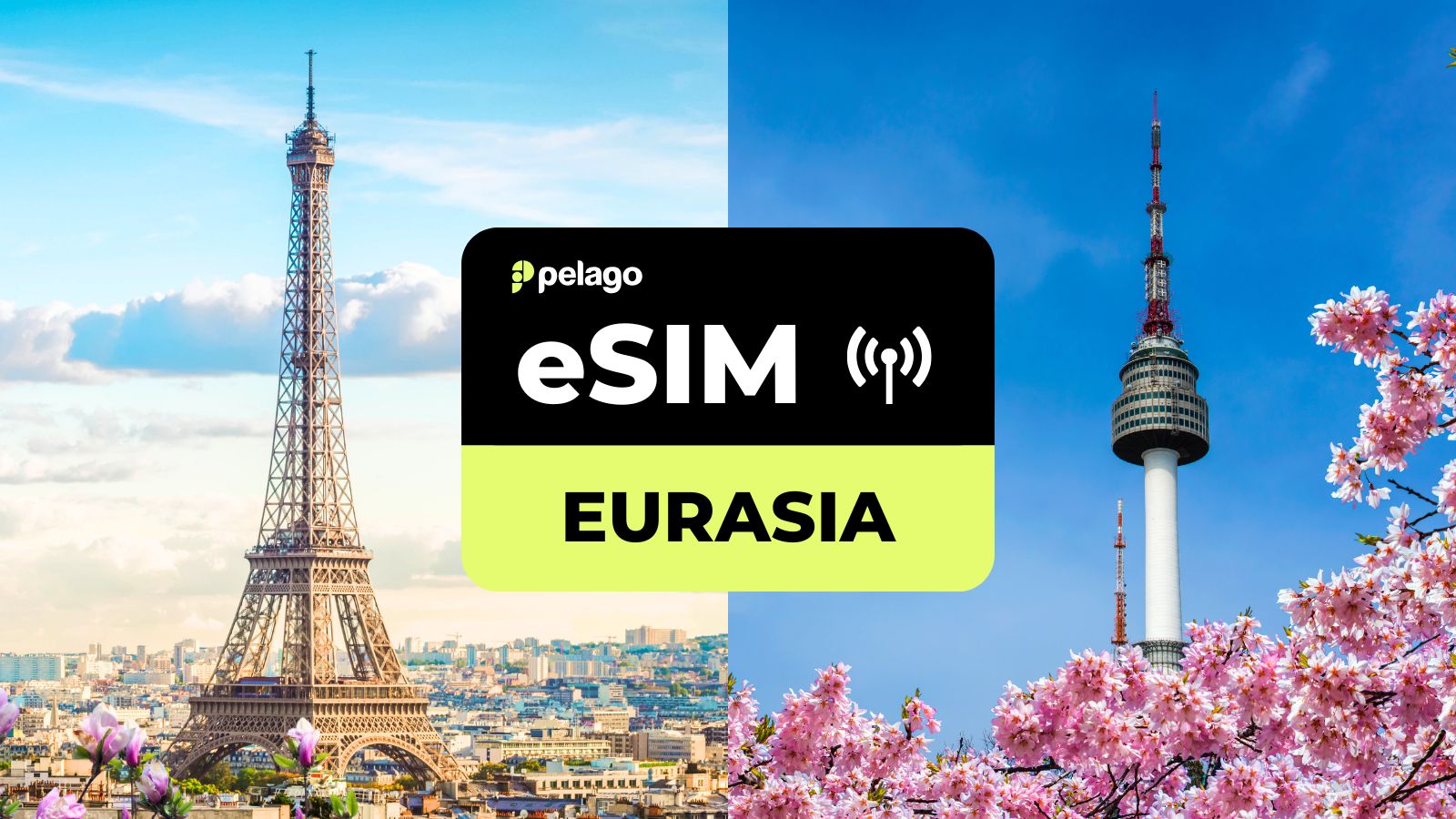 Eurasia (SP) eSIM by Pelago - Photo 1 of 4