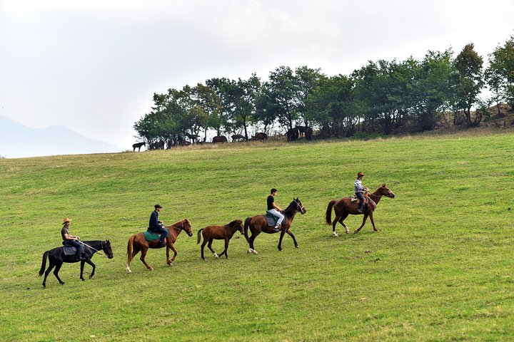 Historical Trail Rides - Photo 1 of 12