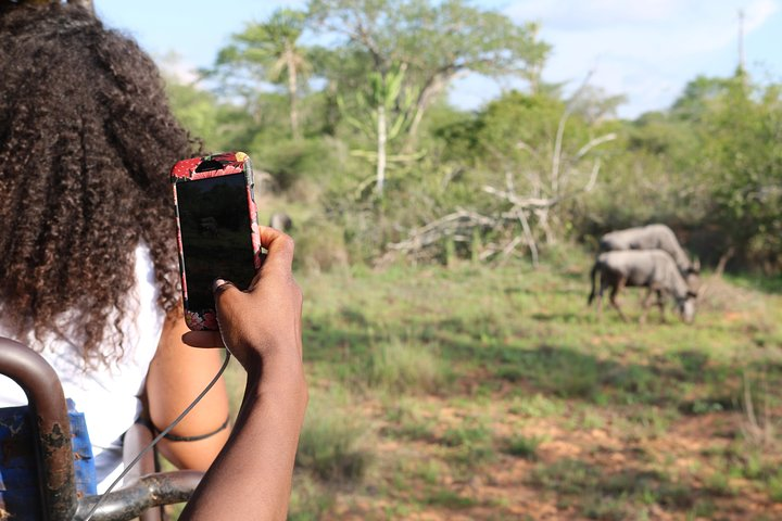 Kissama National Park Safari  - Photo 1 of 25