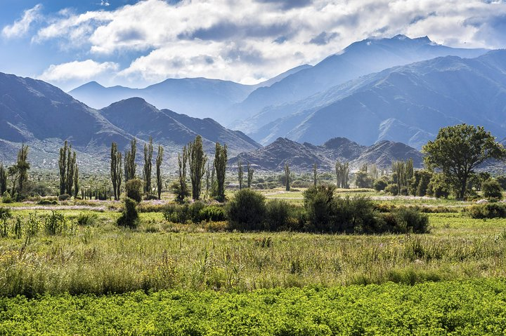Salta Super Saver: Cachi, Cafayate and Calchaqui Valley Combo Tour