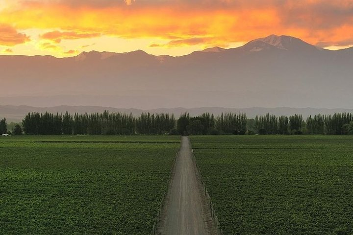 3-Day Mendoza Enchanted Vine Retreat With Optional Airfare - Photo 1 of 13