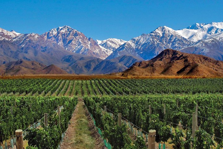 4-Day Trip to Mendoza and The Andes - Photo 1 of 7