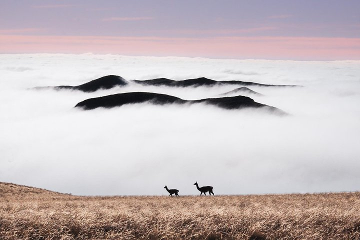 4x4 Private Photo Safari in the Andes - Villavicencio - Photo 1 of 6