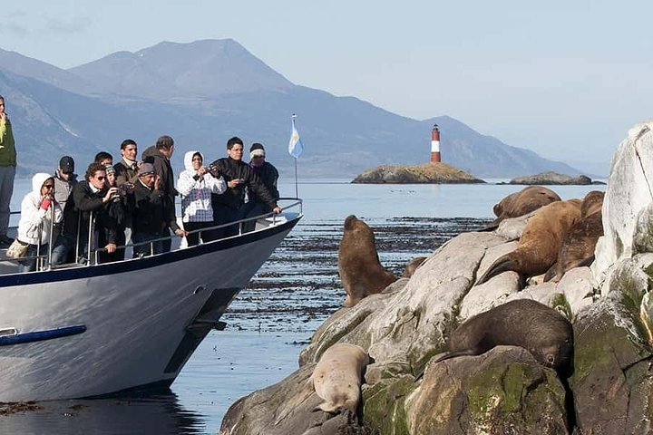 Beagle Channel and Sea Wolves Island Catamaran Cruise