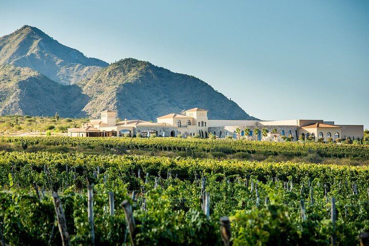 Cafayate Wine Trail Excursion: Explore Salta's Vineyards - Photo 1 of 15