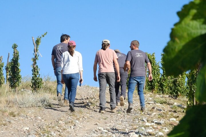 Chandon Private Tour and Chimera Bistro Lunch - Michelin Guide - Photo 1 of 22