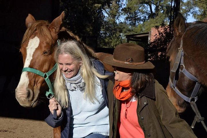 Coaching With Horses in Buenos Aires, Argentina - Photo 1 of 12