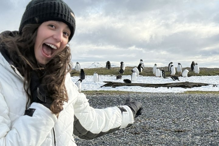 Penguin Watching and King Crab Route 4x4 with Lunch - Photo 1 of 25