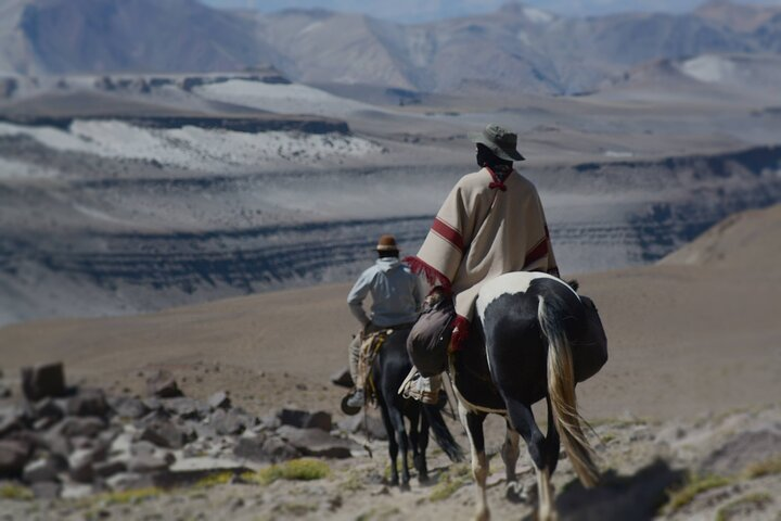 Andes Crossing on Horseback: 5-Day Adventure with Local Gauchos - Photo 1 of 5