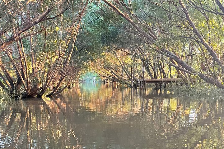 Customized Tigre Delta Tour lunch and drink included - Photo 1 of 25