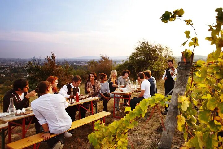 Ultimate Maipú Adventure: Winery Tour & Gourmet Lunch - Photo 1 of 4