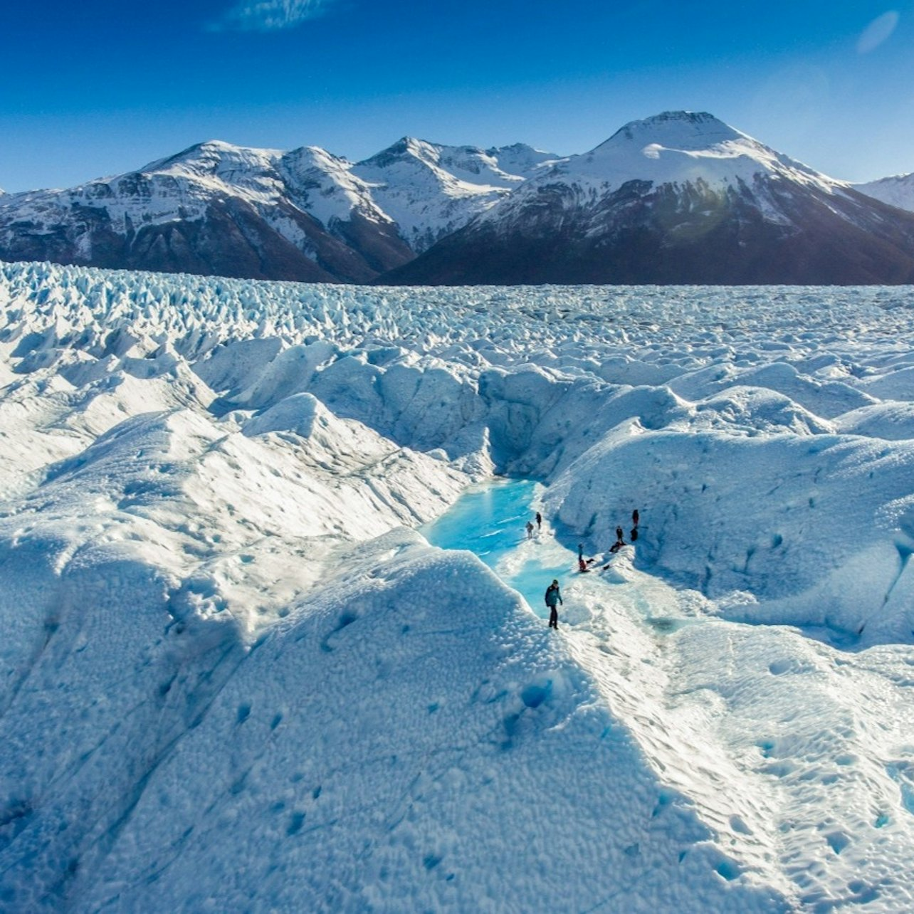 Perito Moreno Glacier: Ice Trek + Roundtrip Transfer - Photo 1 of 3