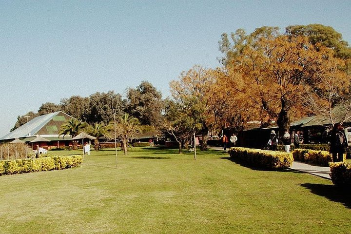 Excursion to Estancia in the Pampas with lunch + Dinner Tango Show - Photo 1 of 3