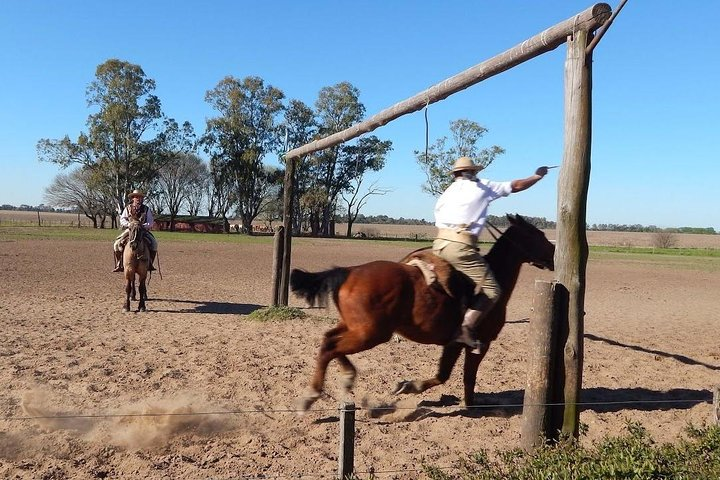 Excursion to typical estancia in the Argentinian Pampas with lunch and gauchos - Photo 1 of 2