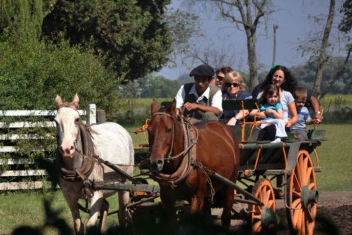 Excursion to typical estancia in the Argentinian Pampas with lunch and gauchos - Photo 1 of 10