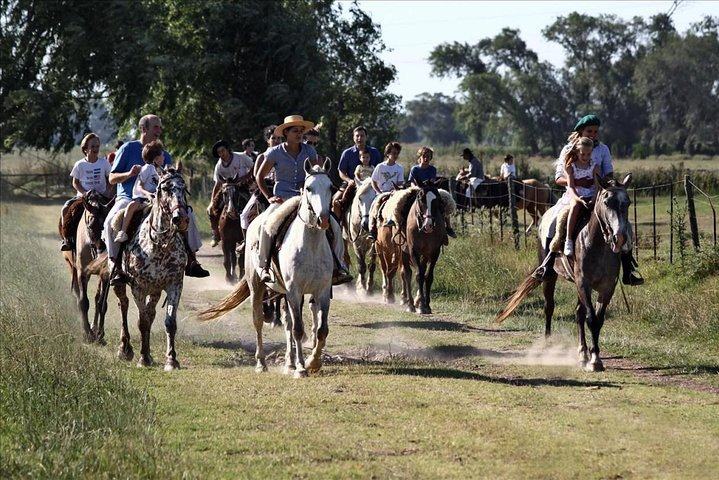 Horse rides
