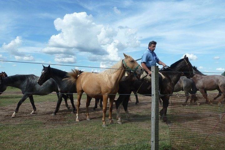 Fiesta Gaucha en Estancia - Day Ranch Gaucho Barbeque  - Photo 1 of 8