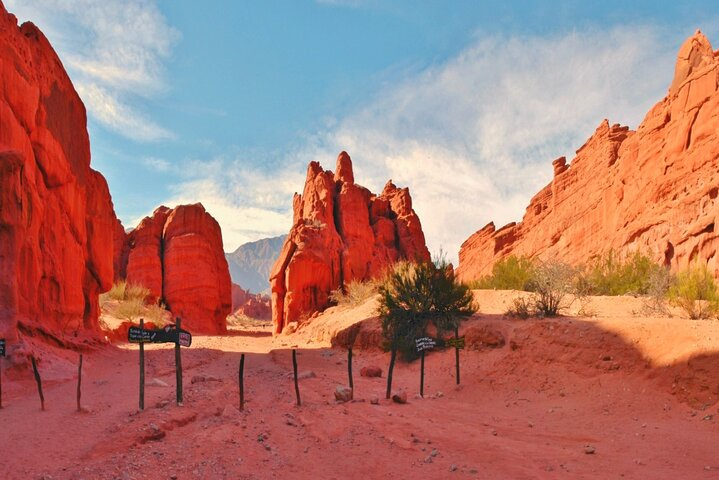 From Salta: Full-Day Tour to Cafayate, Land of Wines - Photo 1 of 25
