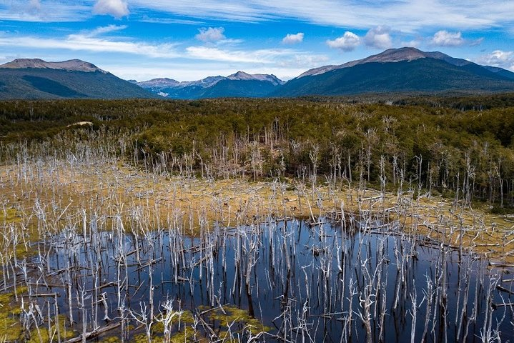 Fuegian lakes - Photo 1 of 6