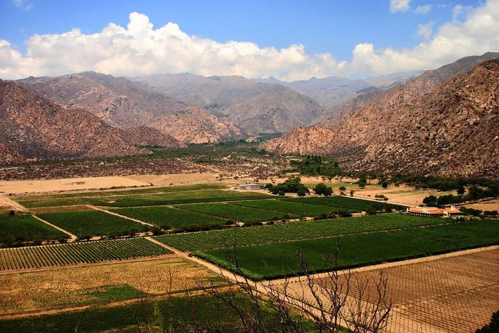 Full Day Excursion to Cafayate from Salta - Photo 1 of 7