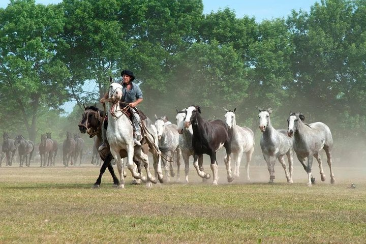 Gaucho Fiesta with lunch - full day tour - Photo 1 of 5