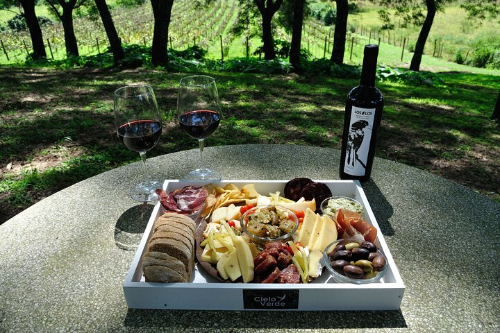 Half Day Wine Tasting in Salta - Photo 1 of 10