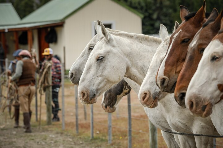 Horse Back Riding Expedition - Photo 1 of 11