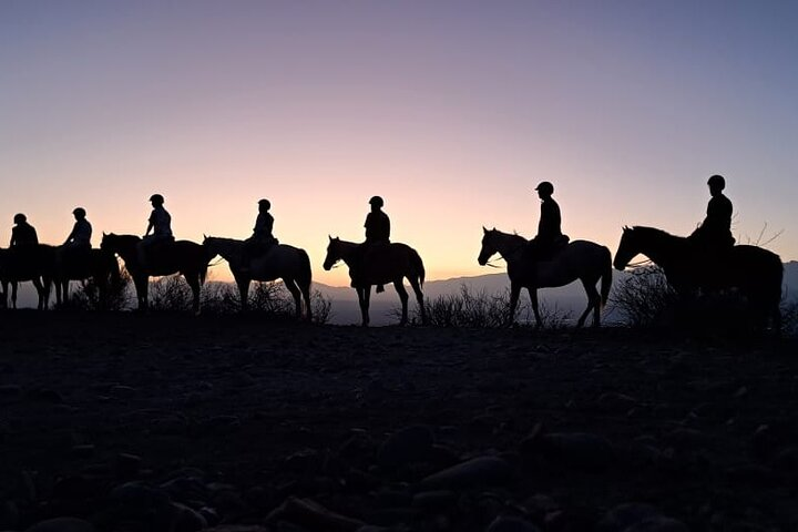 Horseback Riding at Sunset and Dinner at an Estancia in Mendoza - Photo 1 of 14