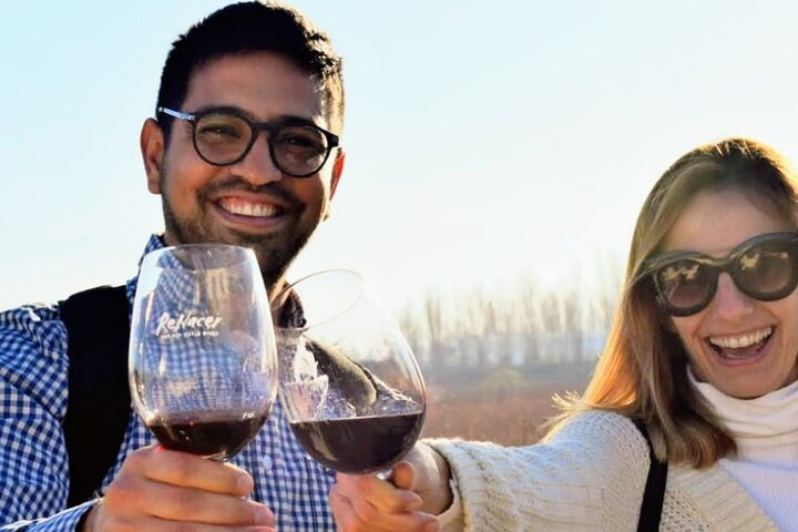 Intimate Wine Tour with Wine Pairing Lunch - Photo 1 of 24