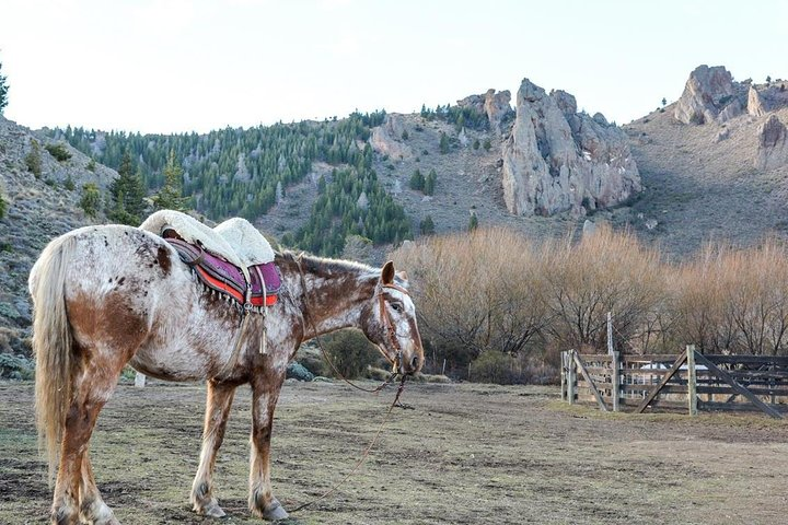 La Fragua Horseback Riding - Photo 1 of 5