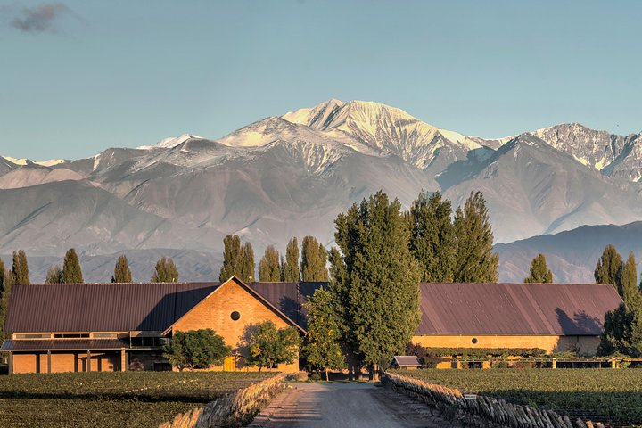 Luján - Maipú, Malbecland - Photo 1 of 9