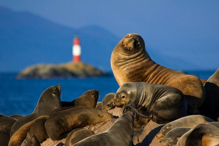 Navigation Beagle Channel Isla de Lobos - Photo 1 of 7