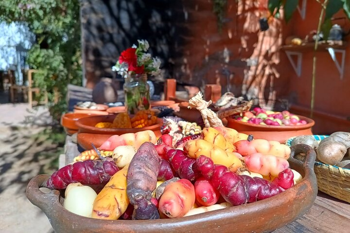 Northern Argentine cooking experience - Photo 1 of 12