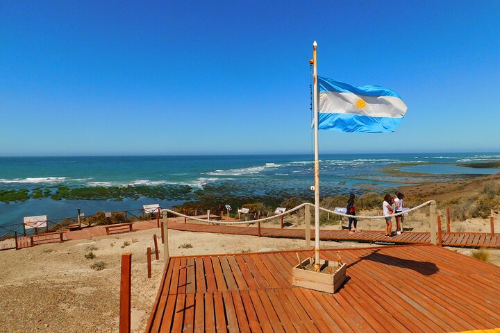 Shore Tours Peninsula Valdes Cruise Ship Passengers Puerto Madryn - Photo 1 of 11