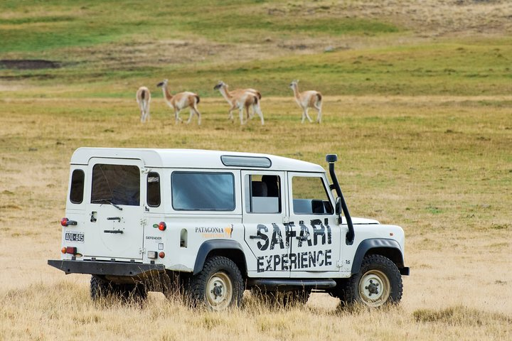 Safari Experience - Wildlife & Steppe - Photo 1 of 11
