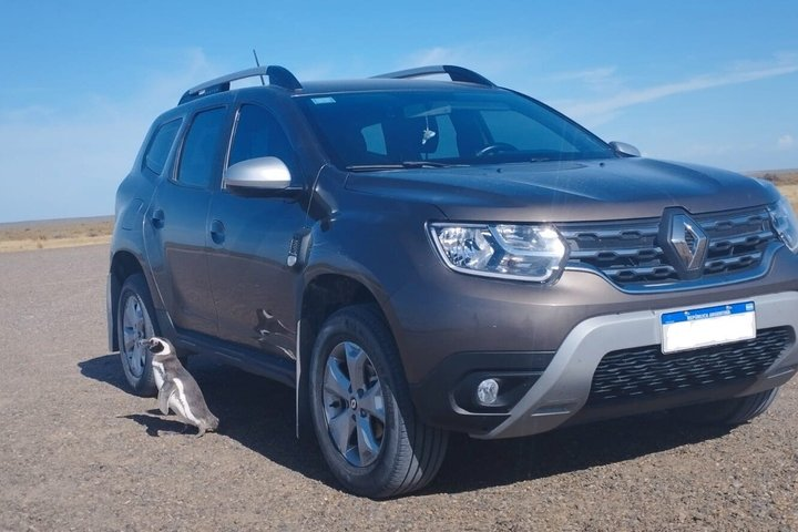 Shore Excursion Peninsula Valdes or Punta Tombo - Private Car - Photo 1 of 9