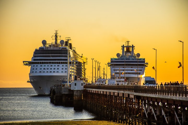 Exclusive Minivan Punta Tombo Shore Tour (up to 10 pax) VIP Tour - Photo 1 of 8