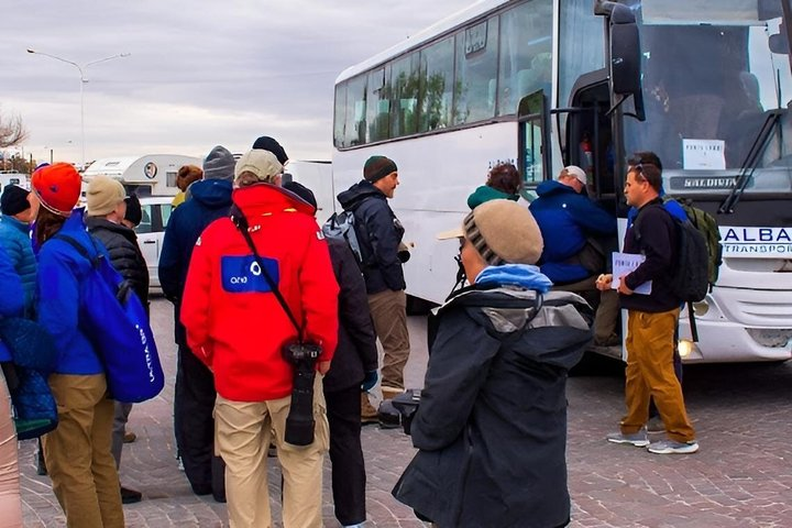 Exclusive Bus Punta Tombo Shore Tour (up to 42 pax) VIP Tour - Photo 1 of 8